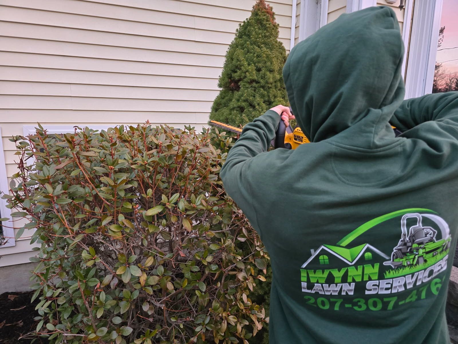 A person wearing a green hoodie is trimming a bush.