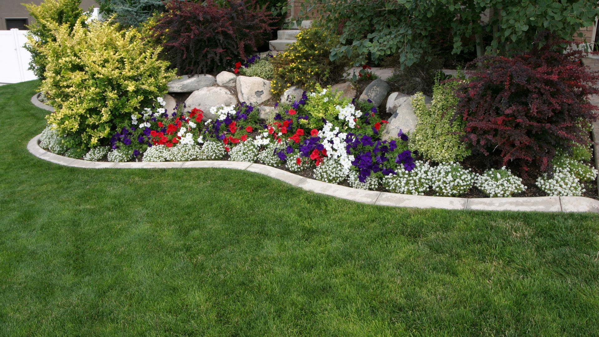 A curved garden bed with colorful red, white, and purple flowers, surrounded by shrubs, large stones, and a grass lawn.