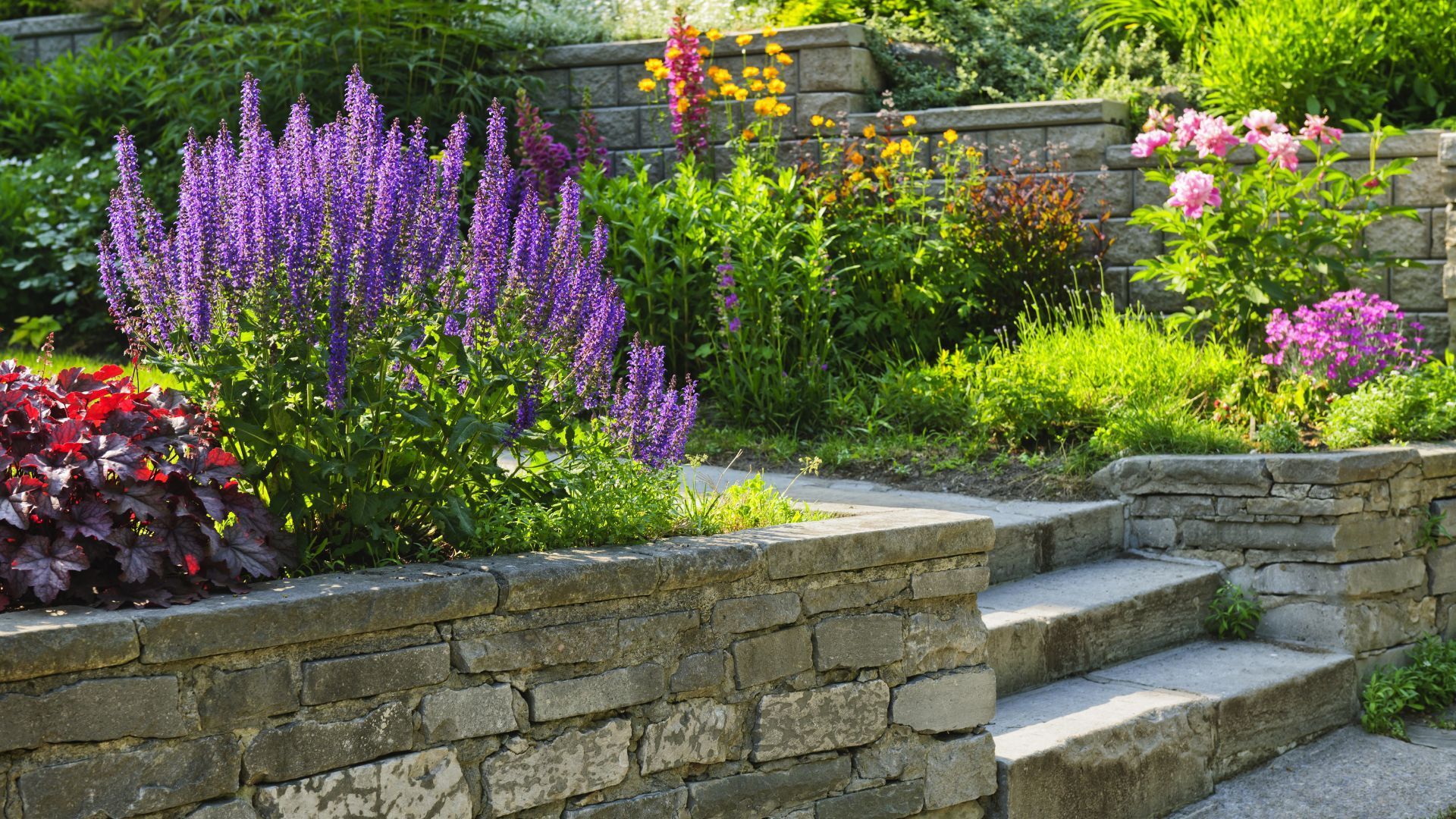 A stone staircase leads through a tiered garden filled with purple salvia, pink flowers, and vibrant green foliage.
