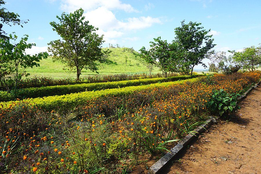 Lawn Care Service — Girl Mowing Grass in South Kingstown, RI