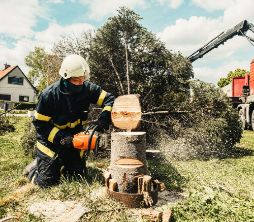 A man in a bucket is cutting a tree with a chainsaw.