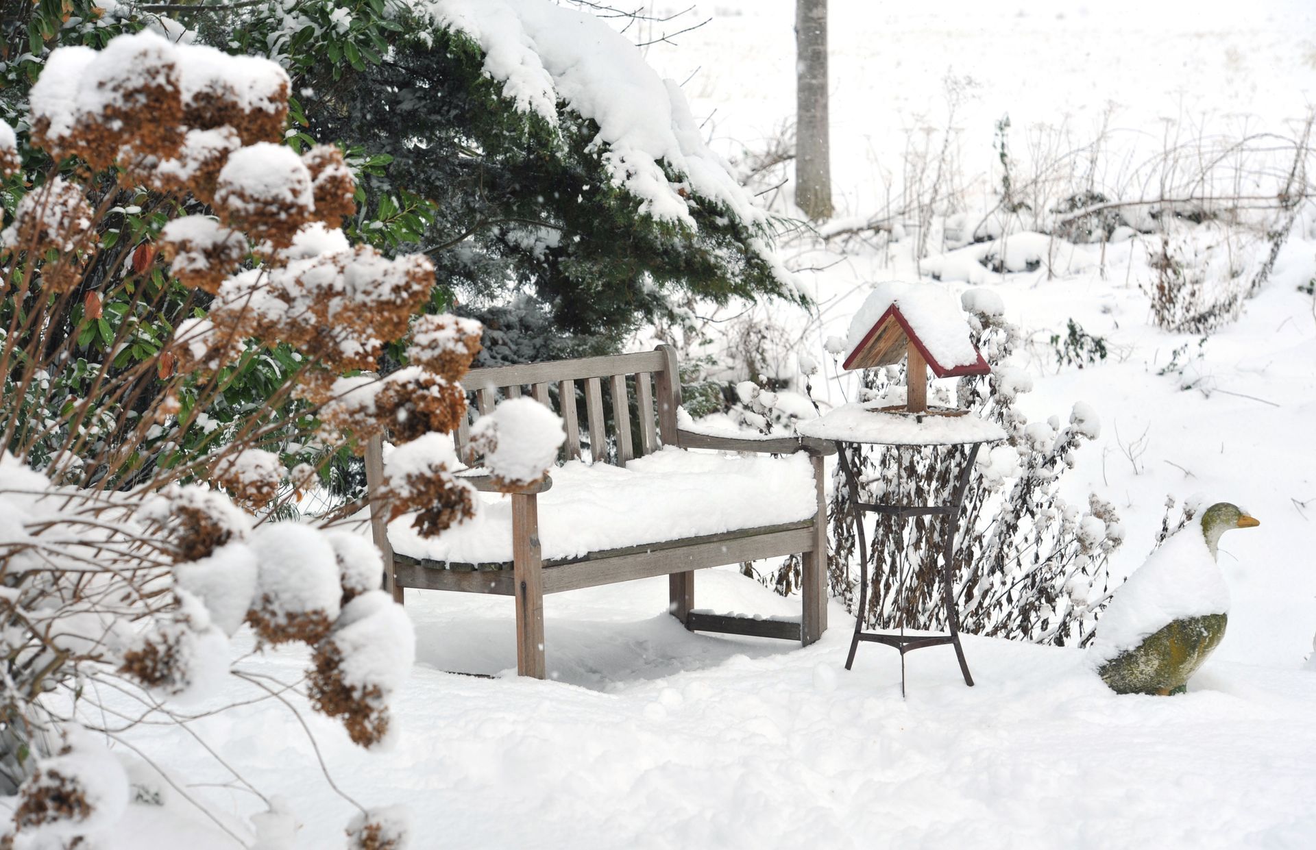 A snowy garden with a bench and a bird feeder.