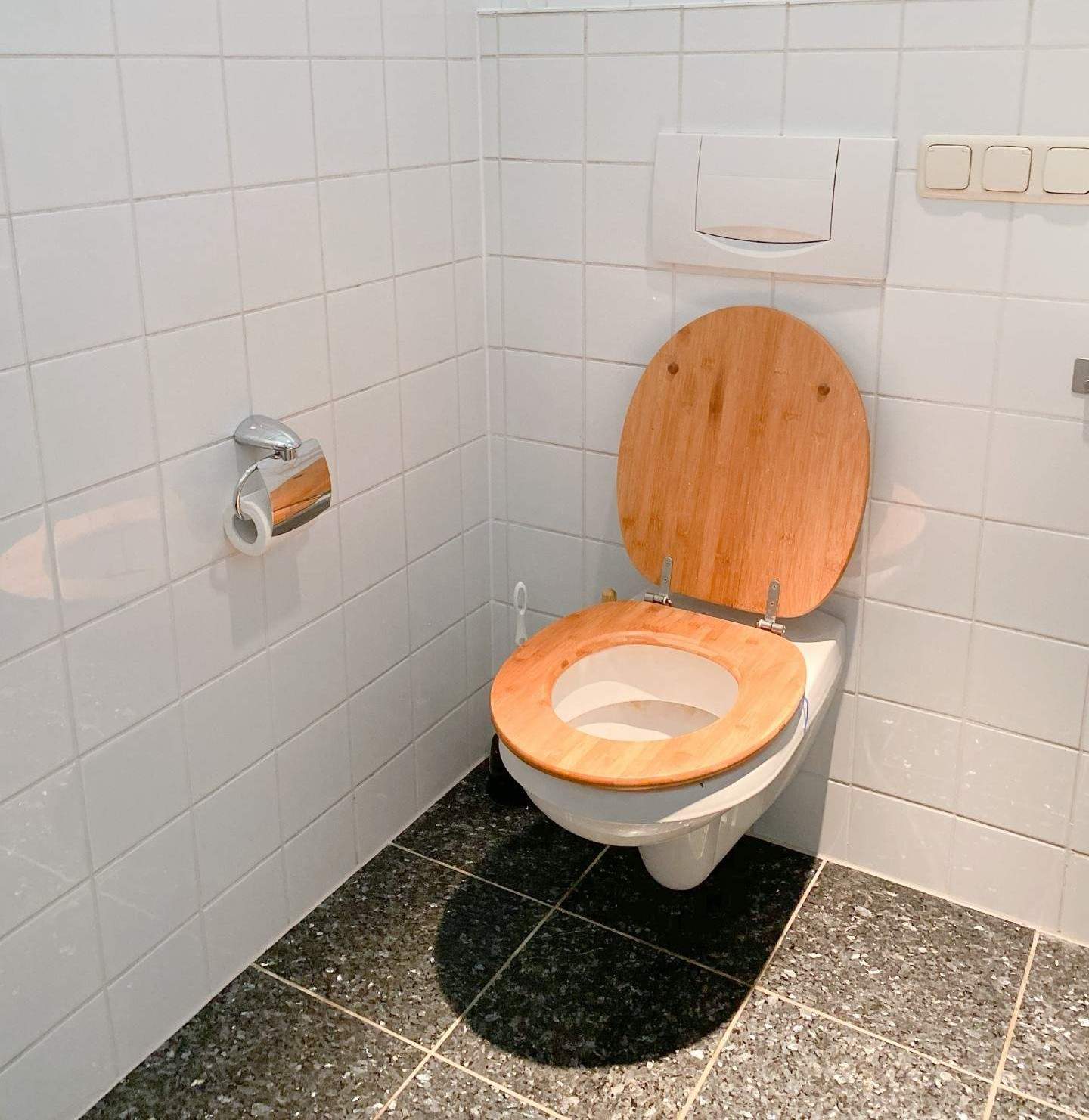 toilet repair services in Lakeland, FL