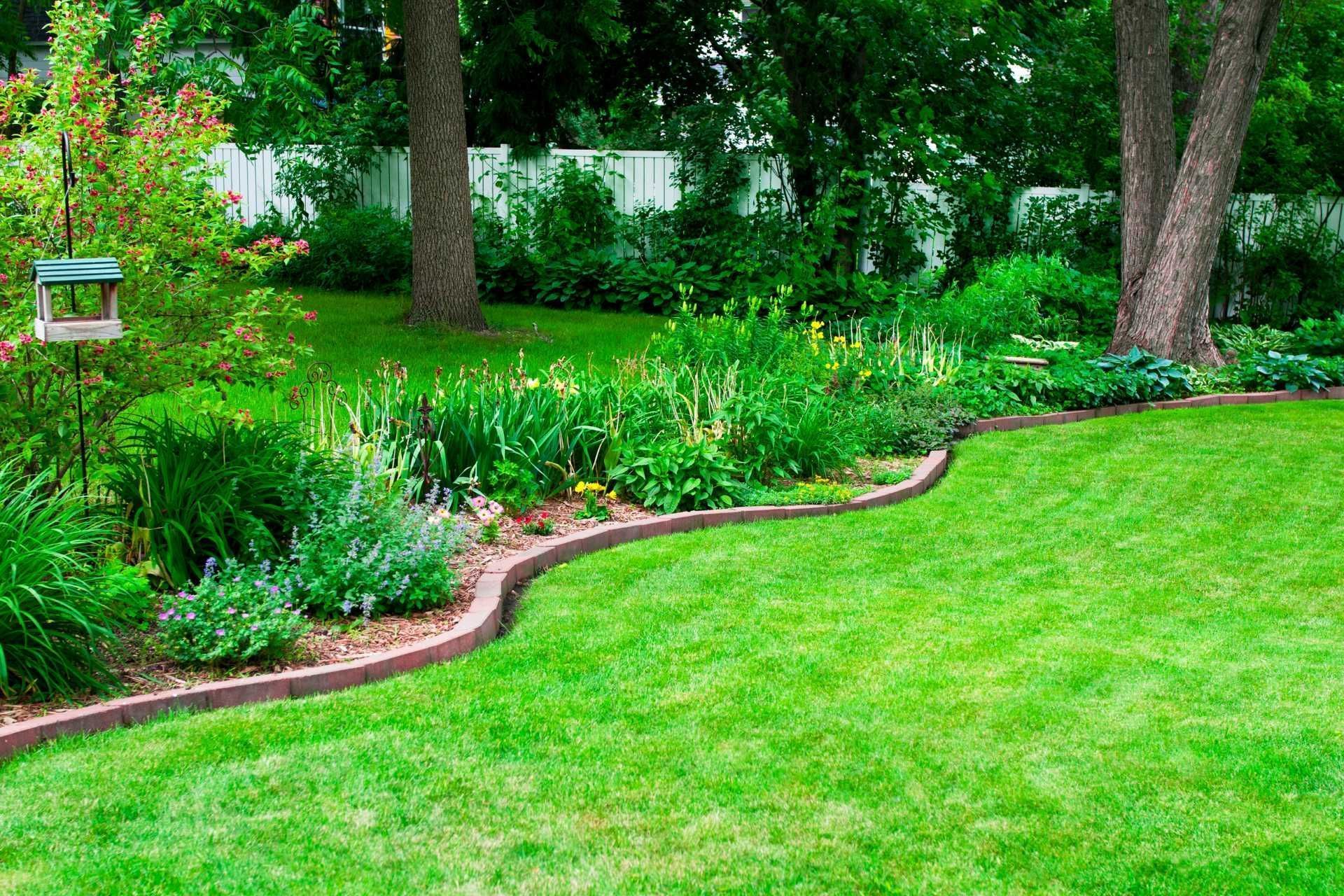 A lush green lawn with a bird feeder in the middle of it.