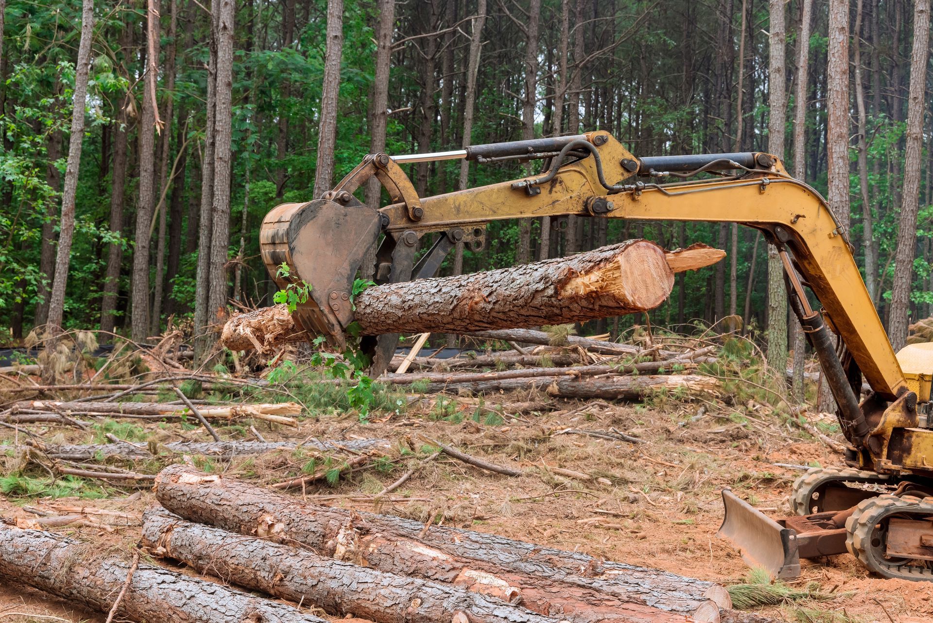 A yellow excavator is carrying a log in a forest.