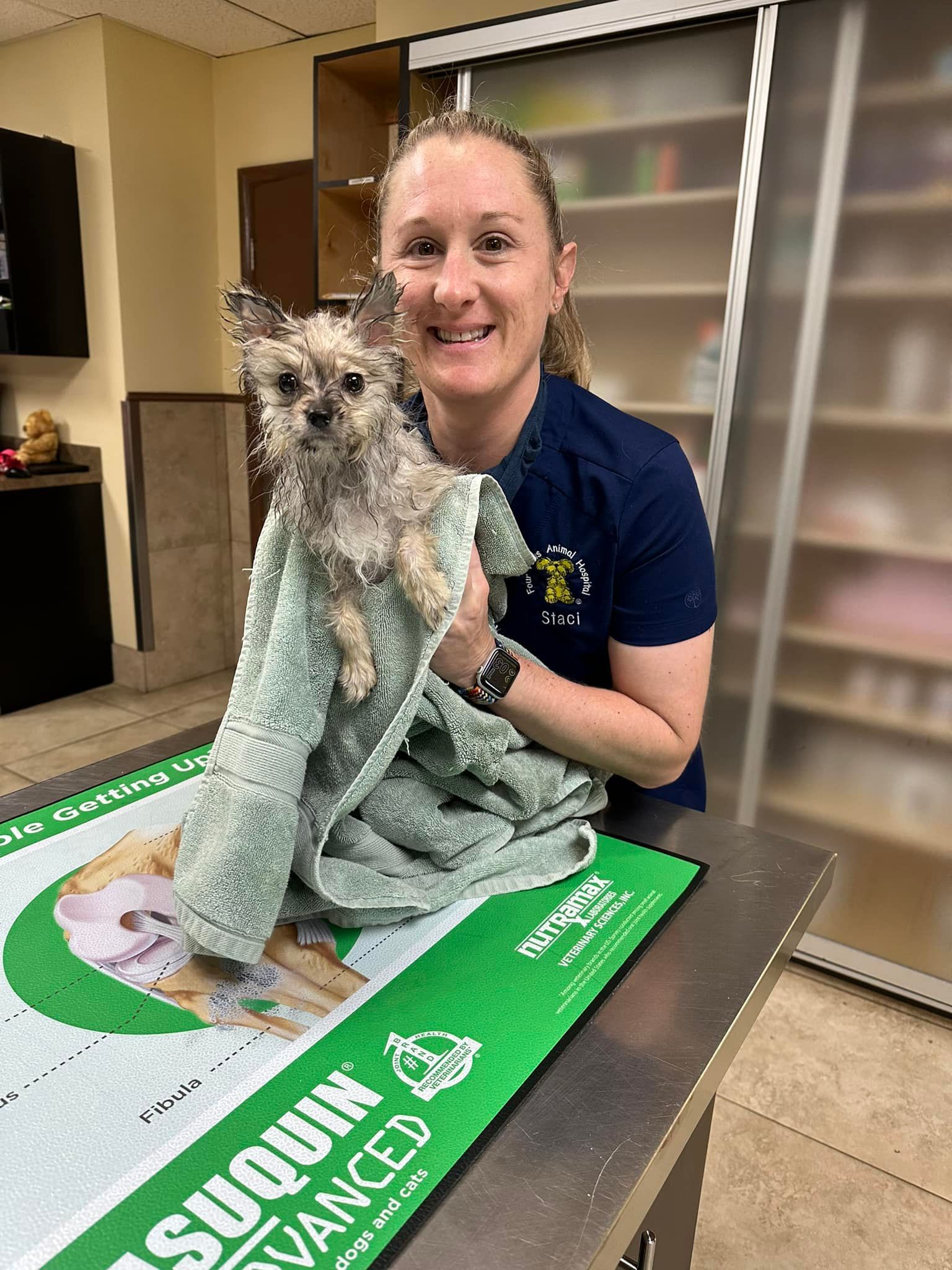 After Cleaning Dog — Cooper City, FL — Four Paws Animal Hospital