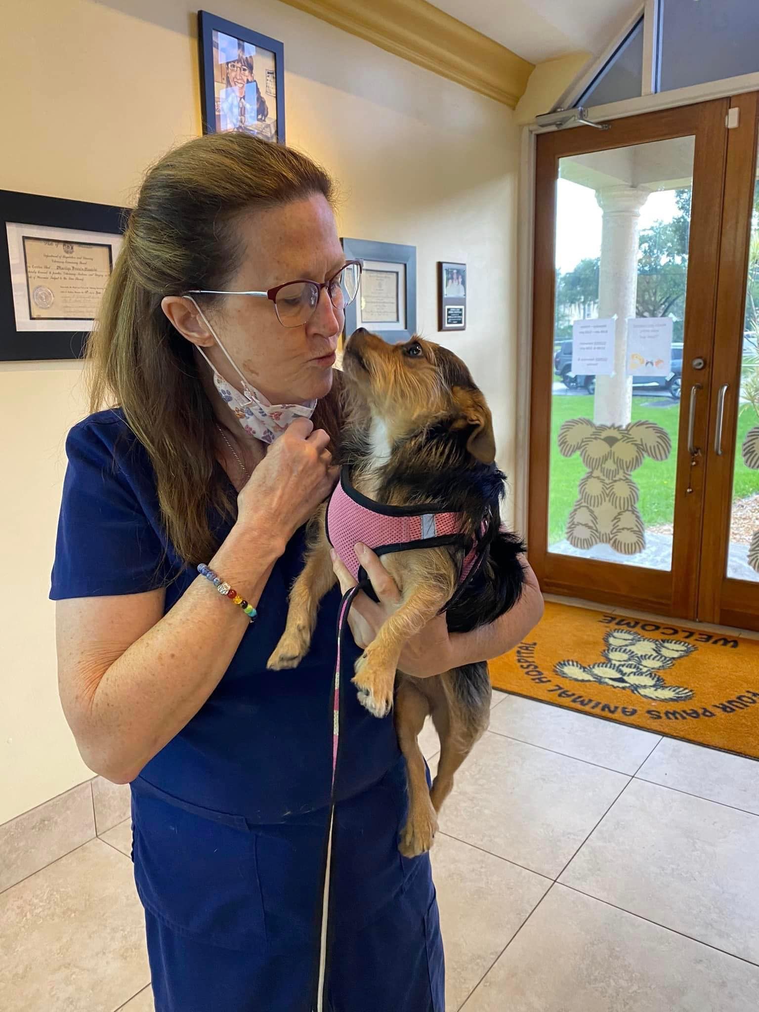 Dog #2 — Cooper City, FL — Four Paws Animal Hospital