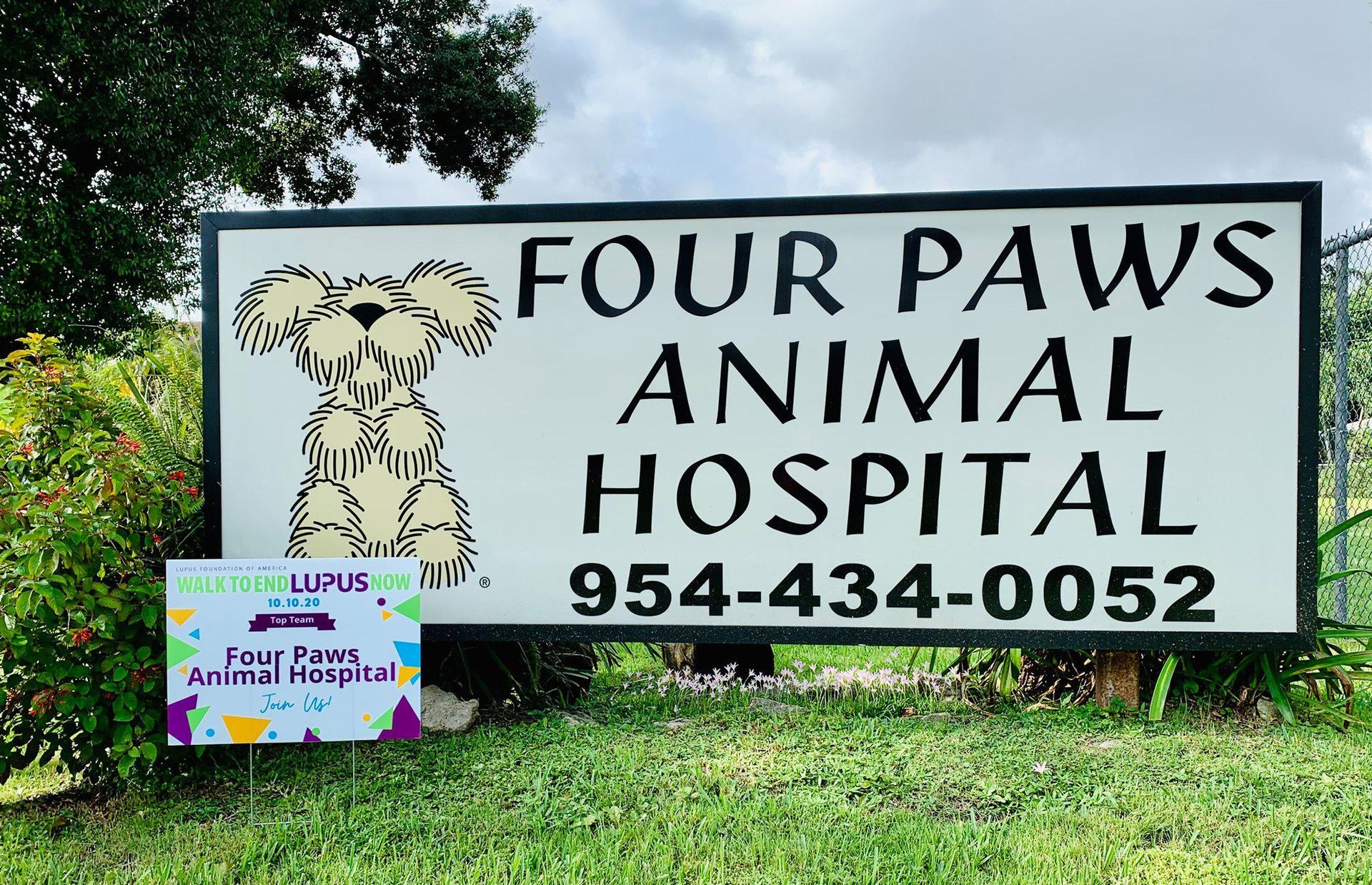 Clinic Banner — Cooper City, FL — Four Paws Animal Hospital