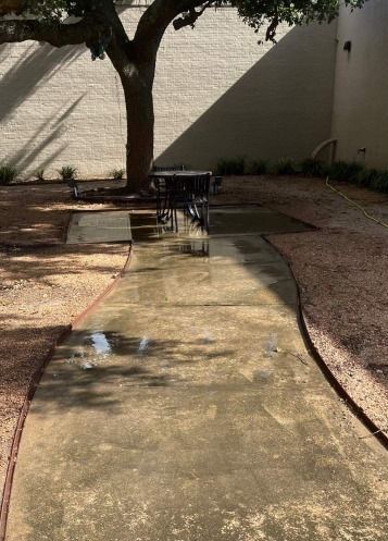 A concrete walkway leading to a tree in a backyard.