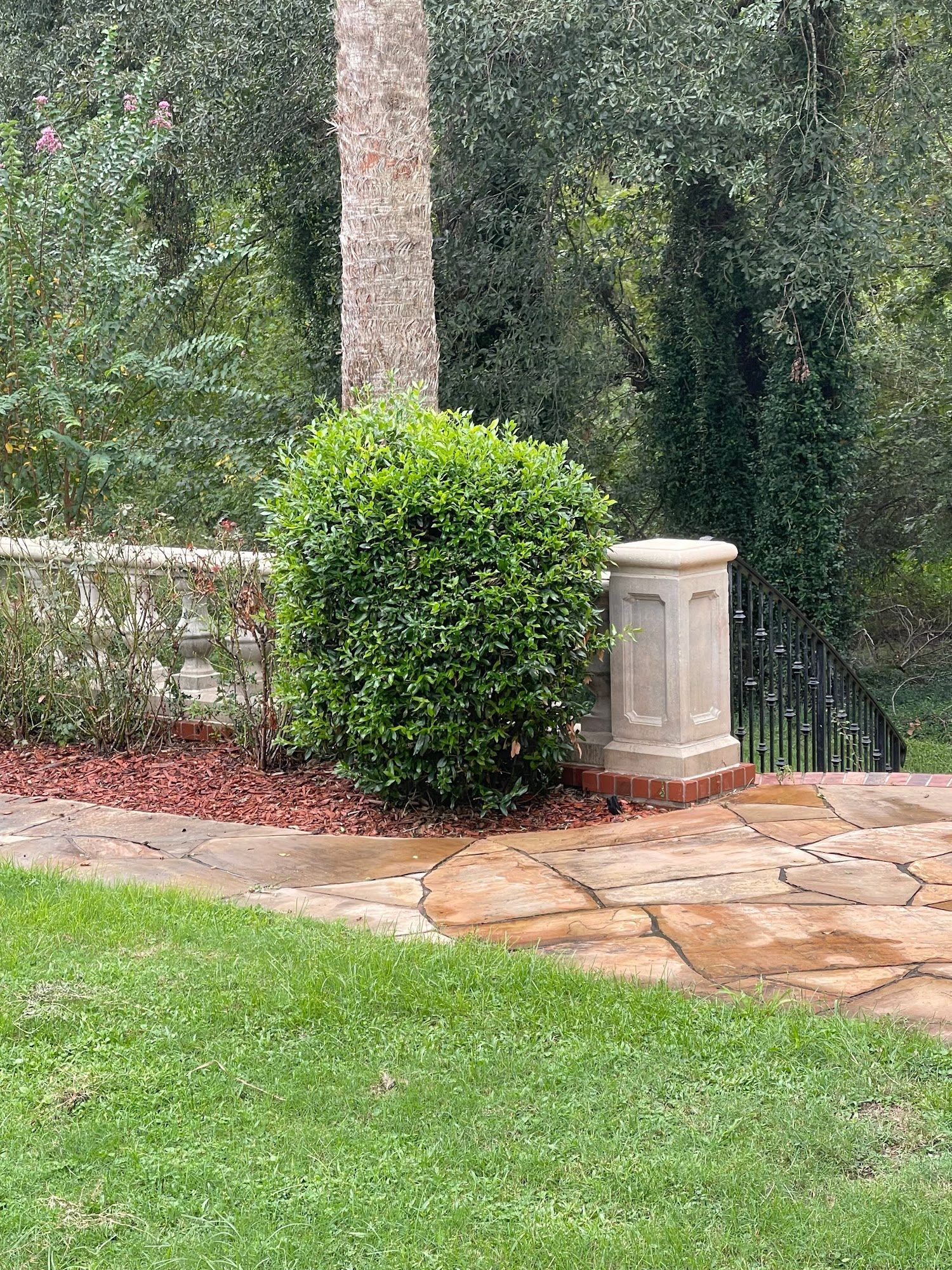 A stone walkway leading to a patio with a tree in the background.