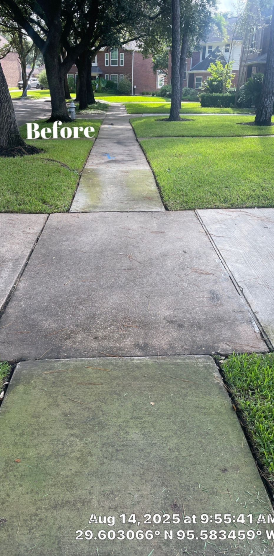 A white tile walkway leading to a pool in a backyard.