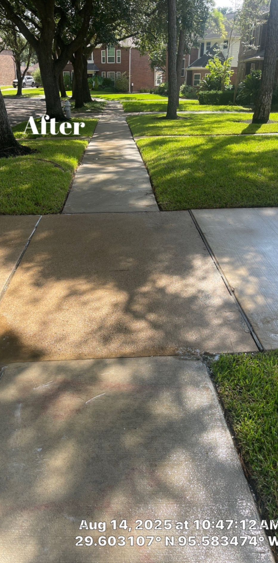 A walkway leading to a pool with a house in the background
