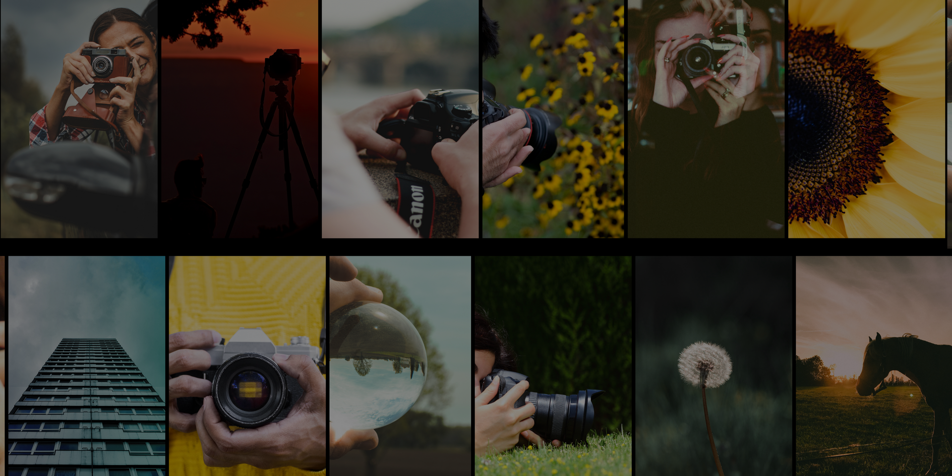 Online Level 2 Certificate in Photography