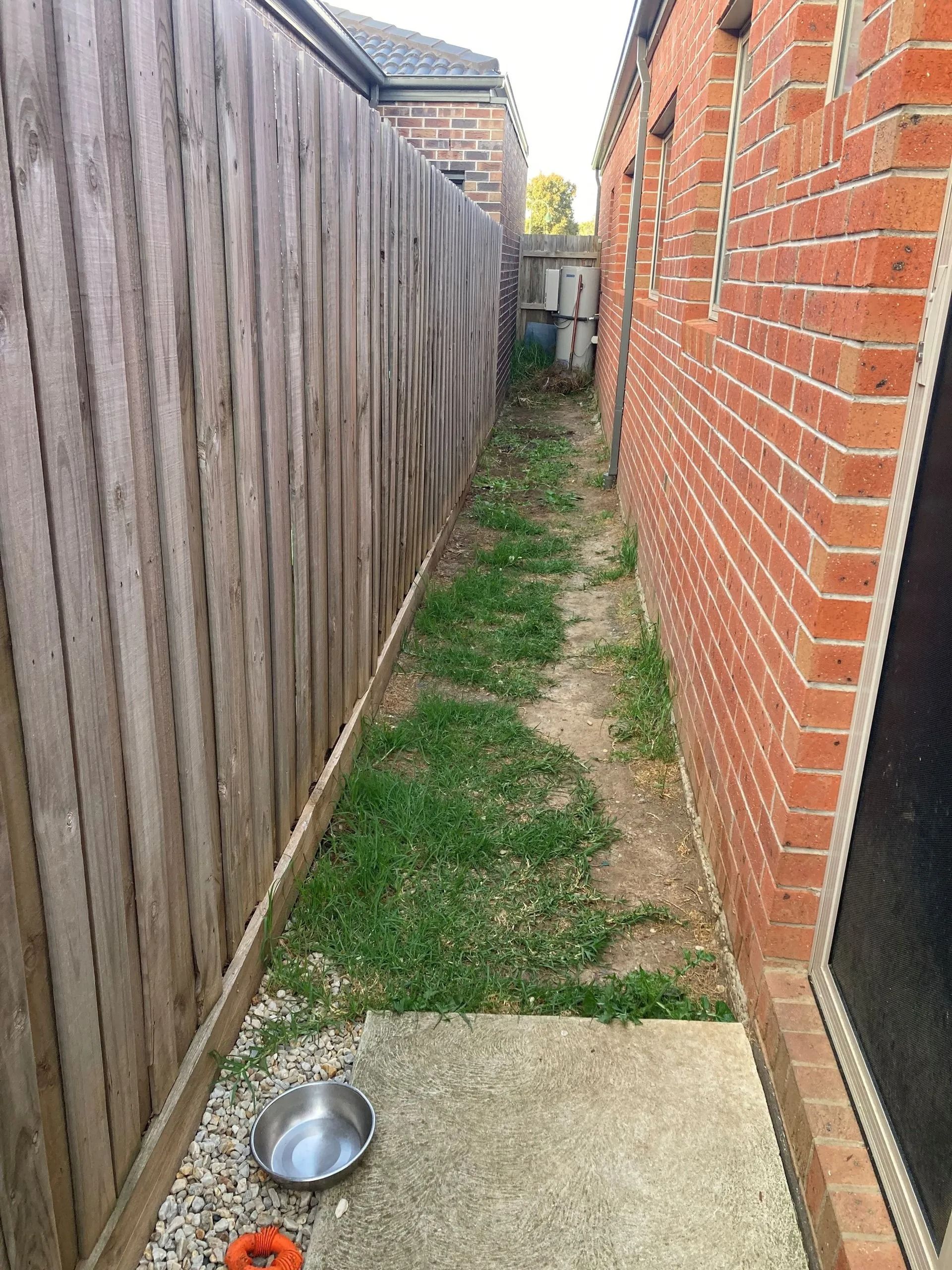 Narrow, overgrown side yard between a wooden fence and a brick wall. A dog bowl sits on a concrete slab.