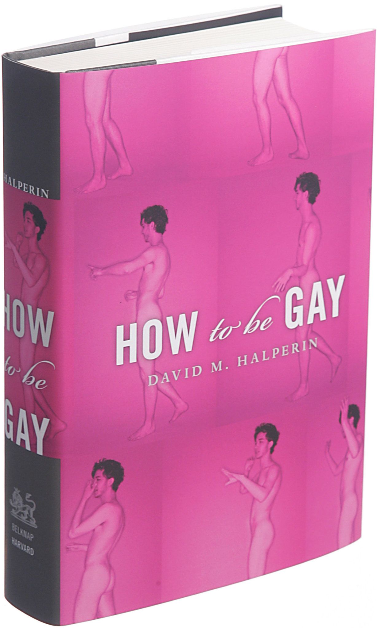 How to be gay book