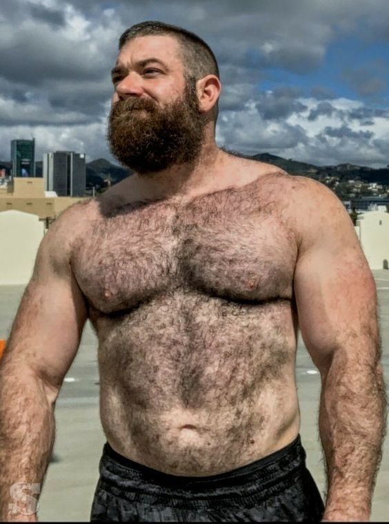 hairy bear men