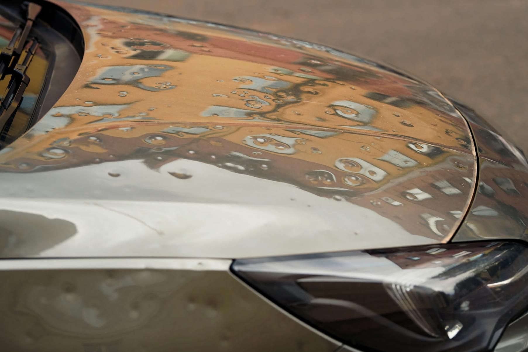 A Close up Of a Car Hood with A Reflection of A Building — Dent Repair Specialist in Maroochydore, QLD