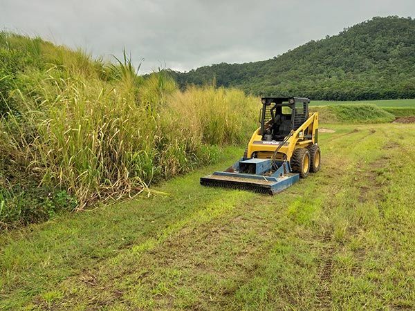 A bulldozer is cutting grass in a field with mountains in the background.