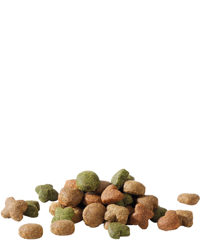 Happy Life Adult mini met Lam 3 kg