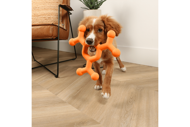 Zee.dog Super Bloemkool hondenspeelgoed | honden spe