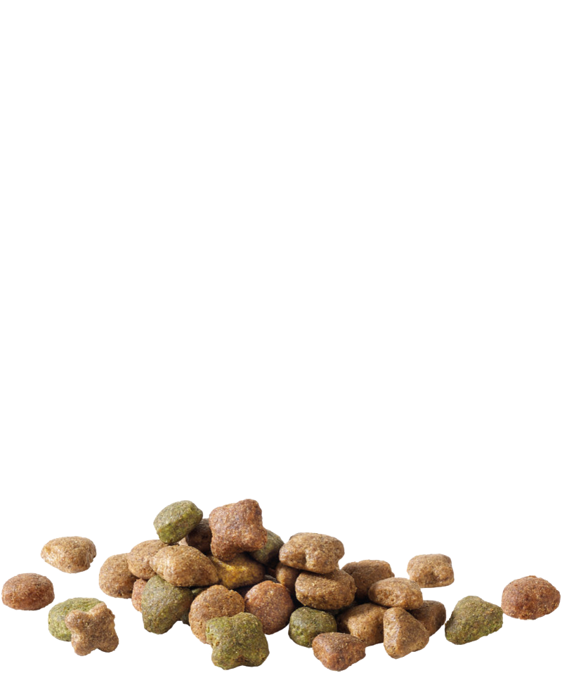 Happy Life Adult met Rund 3 kg