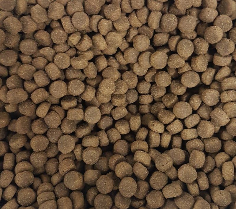 Kivo Lam & Rijst premium, krokante brok 15 kg