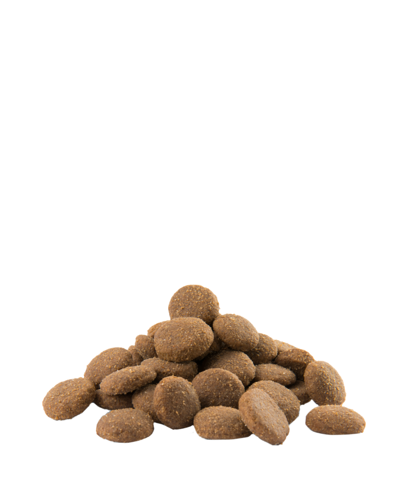 Opti Life Adult Maxi Chicken Rice 12,5 kg