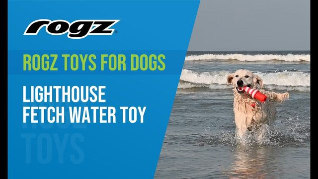 hunde nassfutter mit hohem fleischanteil ohne getreide Dogs'n Tiger Hunde Nassfutter zum Kennenlernpreis