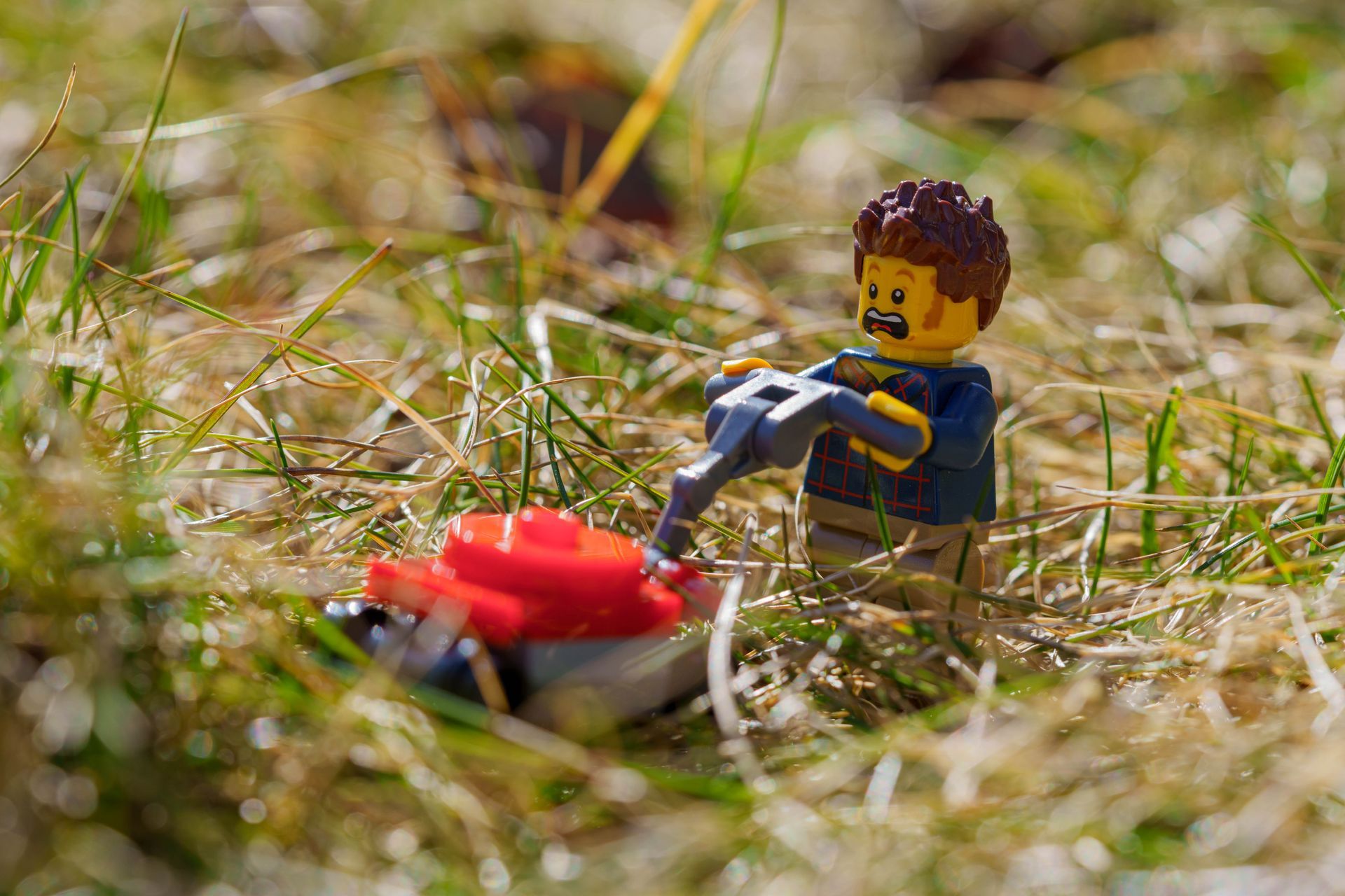 Photographing Small Things (Miniatures) image