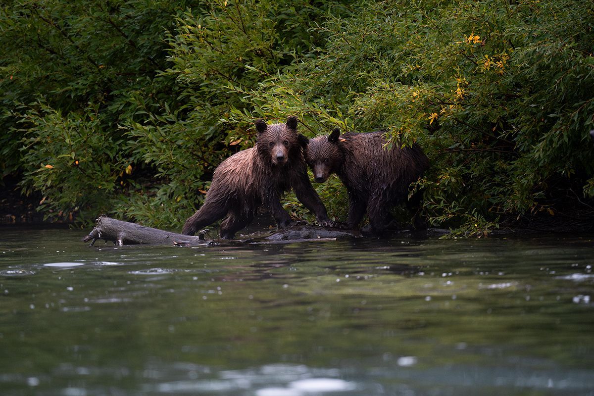Wildlife Photography Workshop Sponsored by Tamron