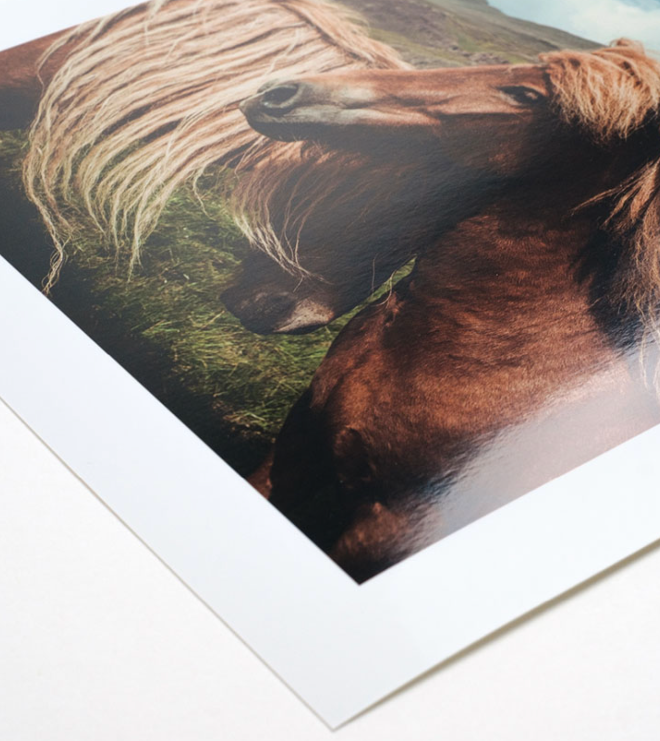 Fine art print laying on table featuring horses