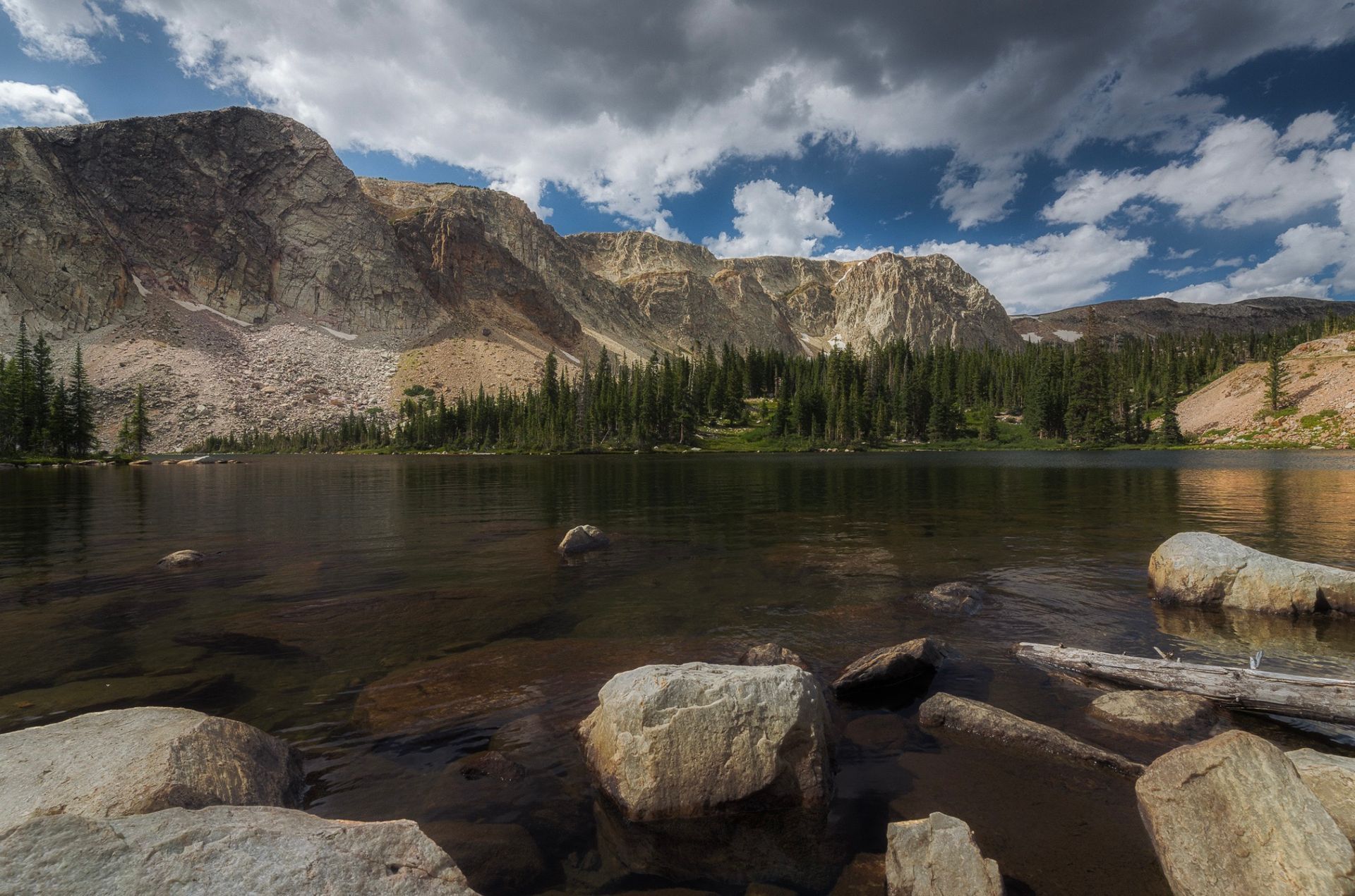 Everything Landscape - Online Event image