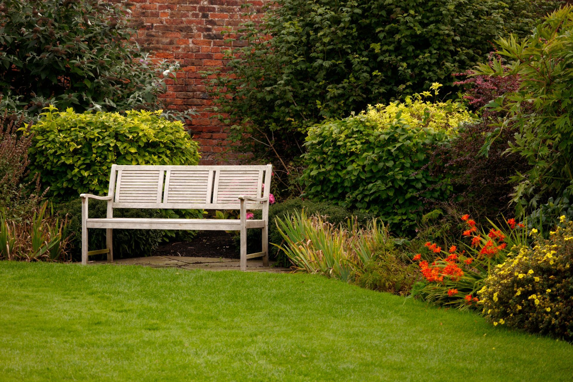 Wooden garden bench in front of bushes and brick wall, surrounded by plants.