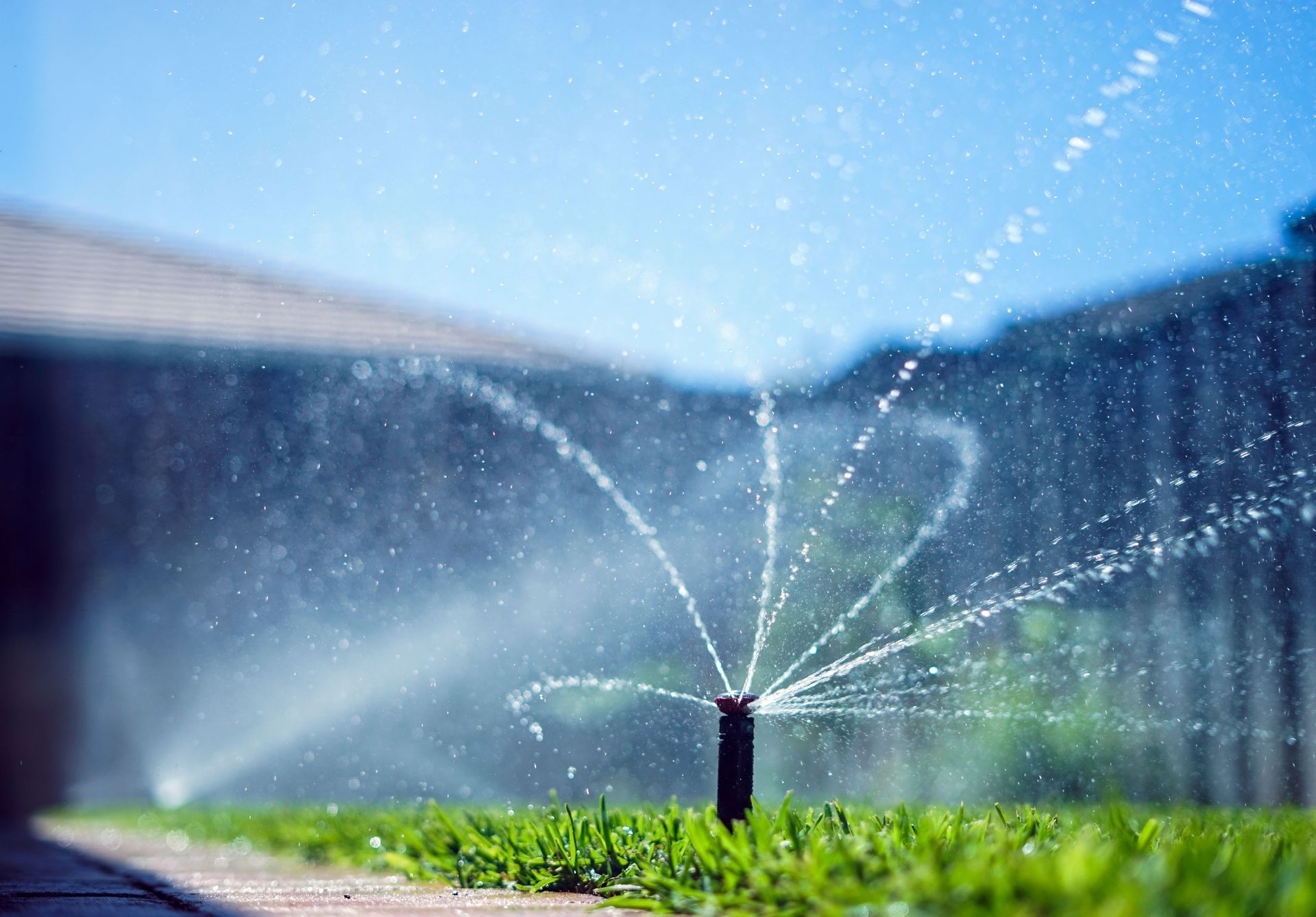 Sprinkler watering green grass on a sunny day. Water arcs against a blue sky, near a fence.