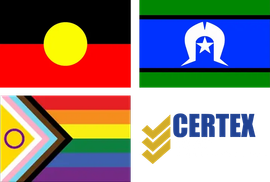 The Aboriginal flag, the Torres Strait Islander flag, and the Progress Pride flag displayed side-by-side.