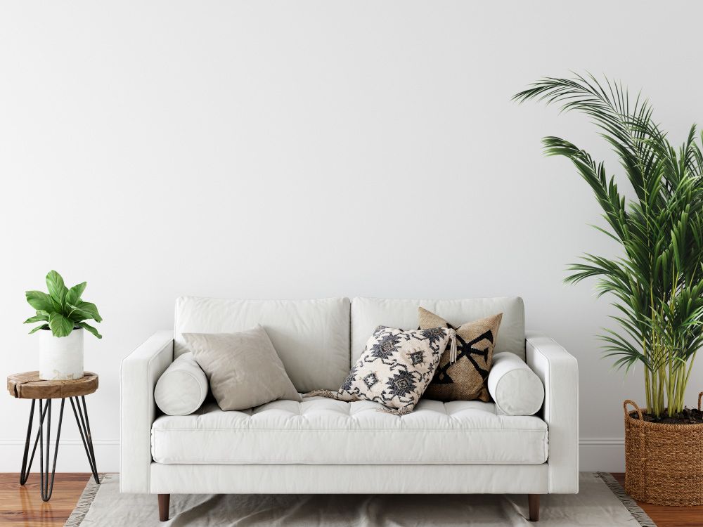 Modern White and Cream Bathroom — Sunshine Coast Painters