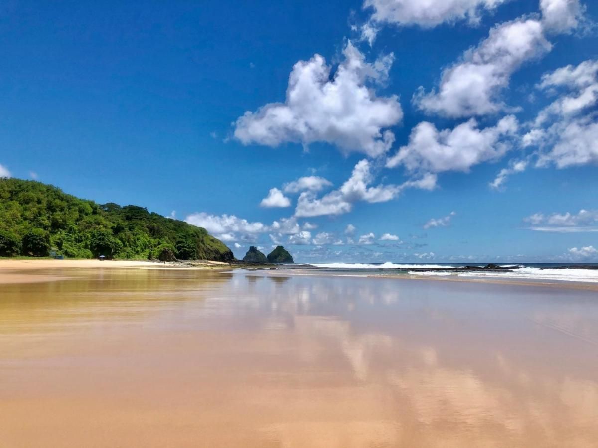 Praia com areia molhada refletindo o céu azul, nuvens brancas e fofas, oceano e árvores verdes.