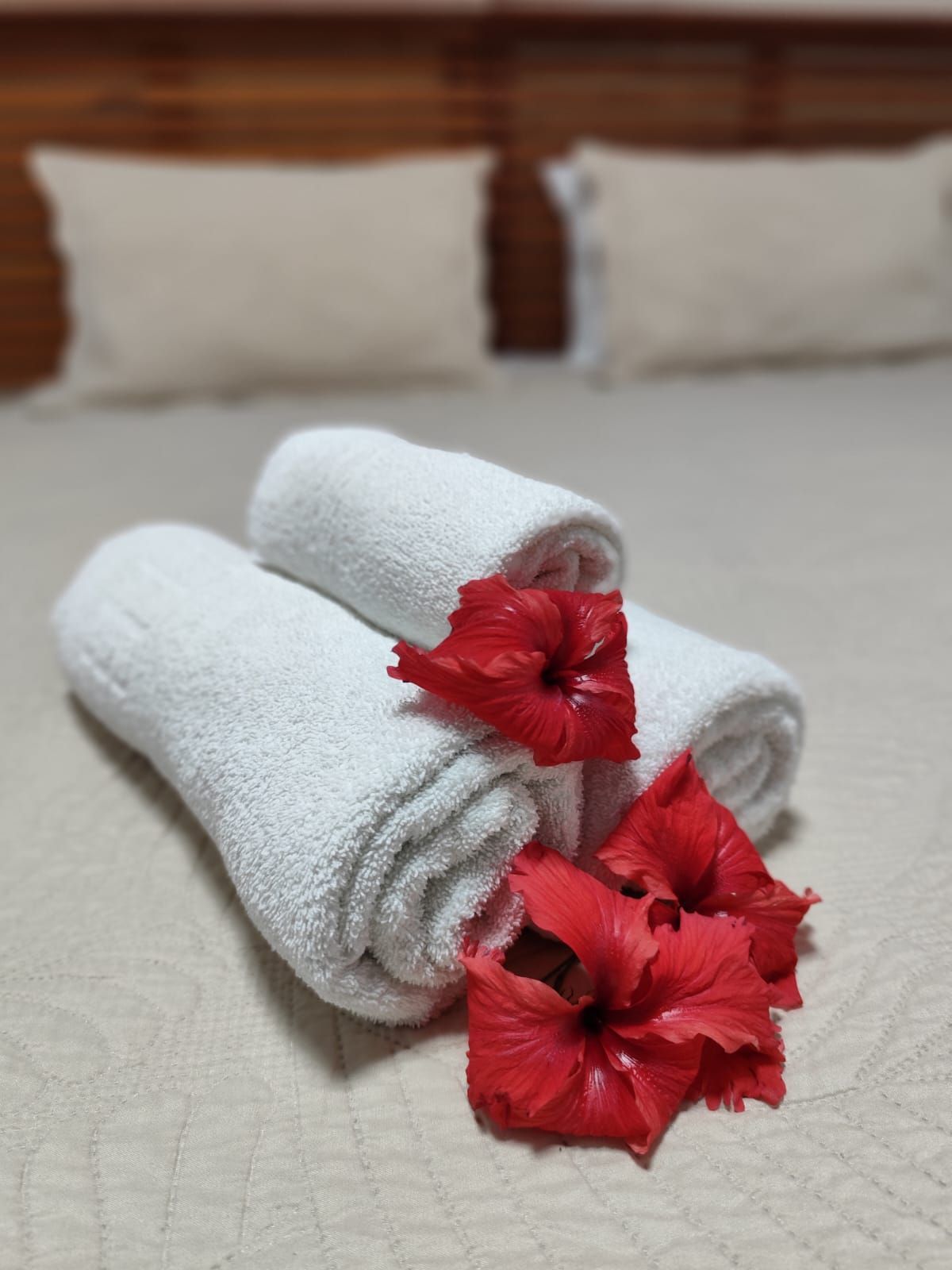 Toalhas brancas enroladas com flores de hibisco vermelhas sobre uma cama, com travesseiros ao fundo.