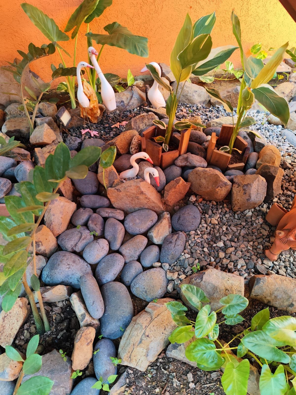 Canteiro de jardim com pedras, plantas e estatuetas de cisne de cerâmica.