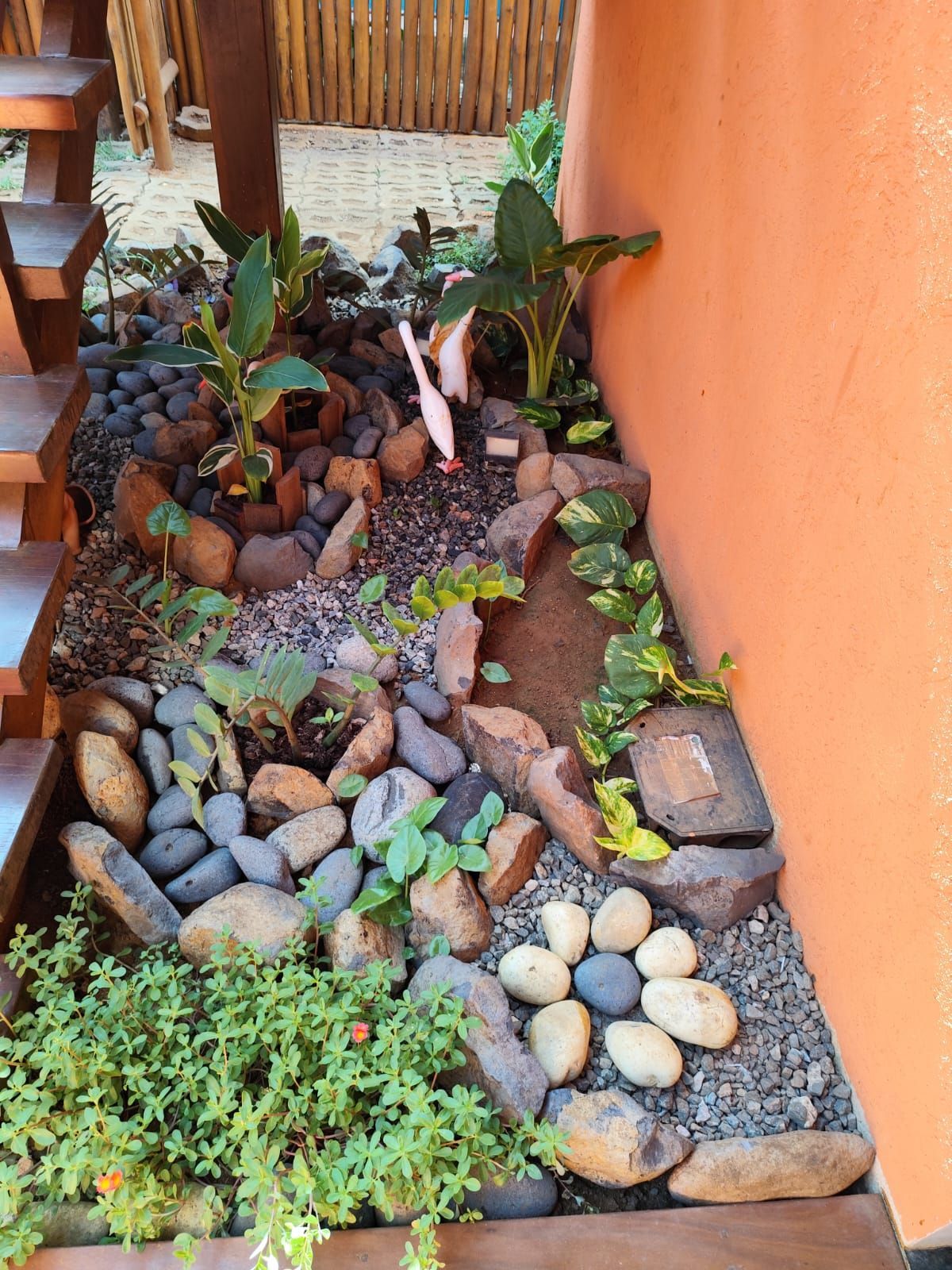 Pequeno canteiro com pedras, plantas e escada ao lado de uma parede laranja.