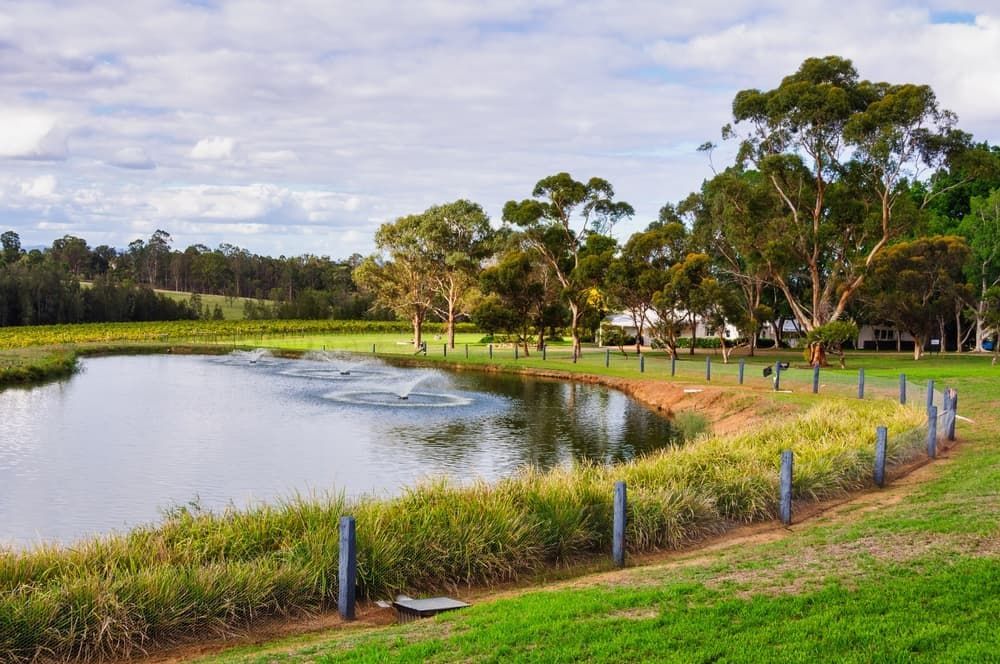 A small pond surrounded by grass and trees in a park — Jamac Cleaning Services in Chisholm, NSW