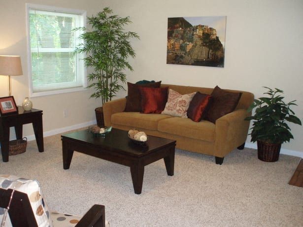 Living room with mustard-colored couch, dark wood coffee table, potted plants, and beige carpet.