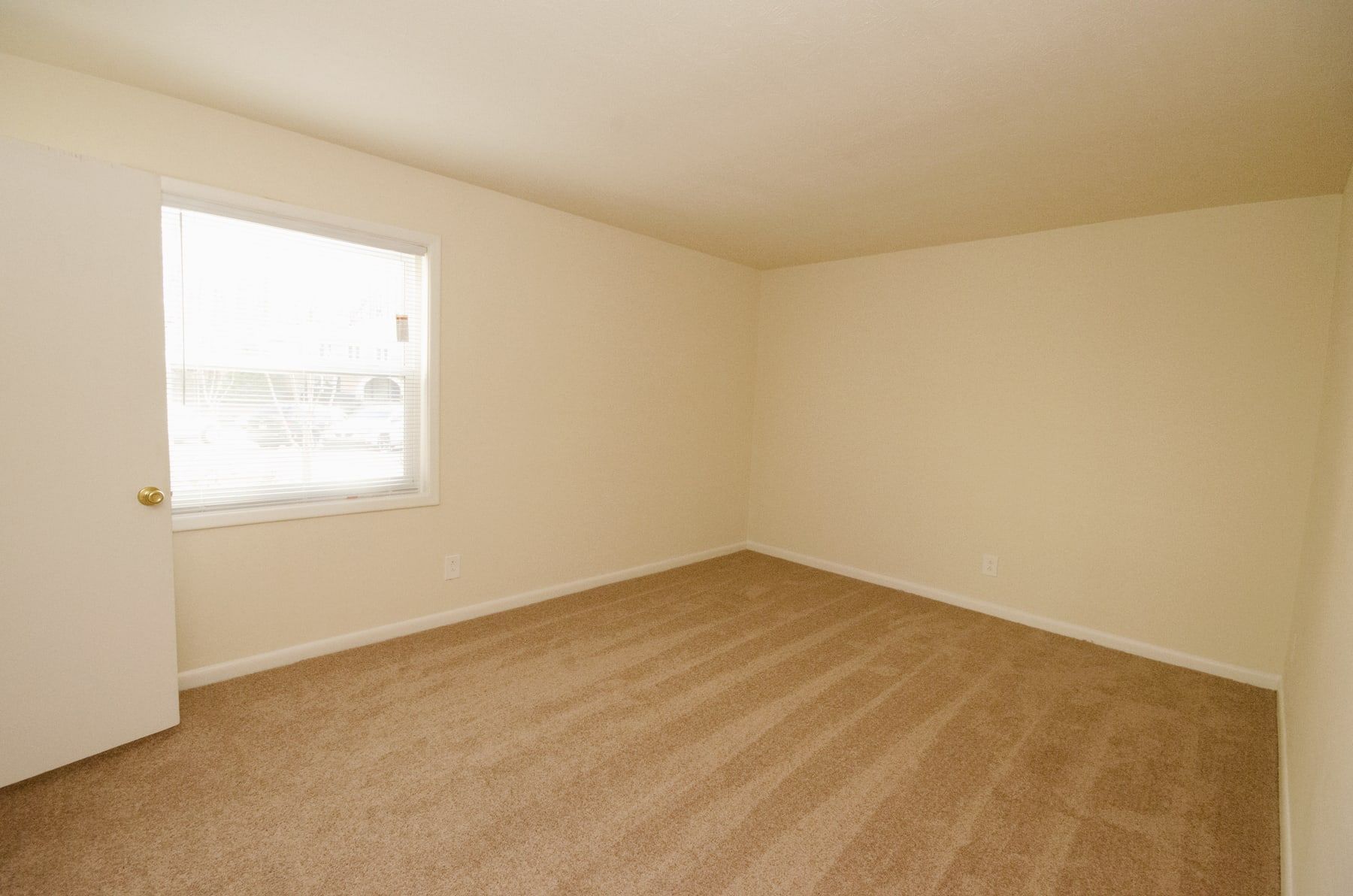 Empty room with tan carpet, beige walls, a window with blinds, and a closed door.
