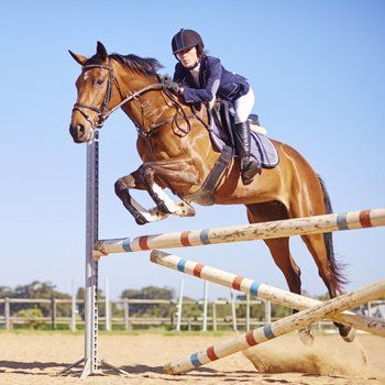 horse jumping