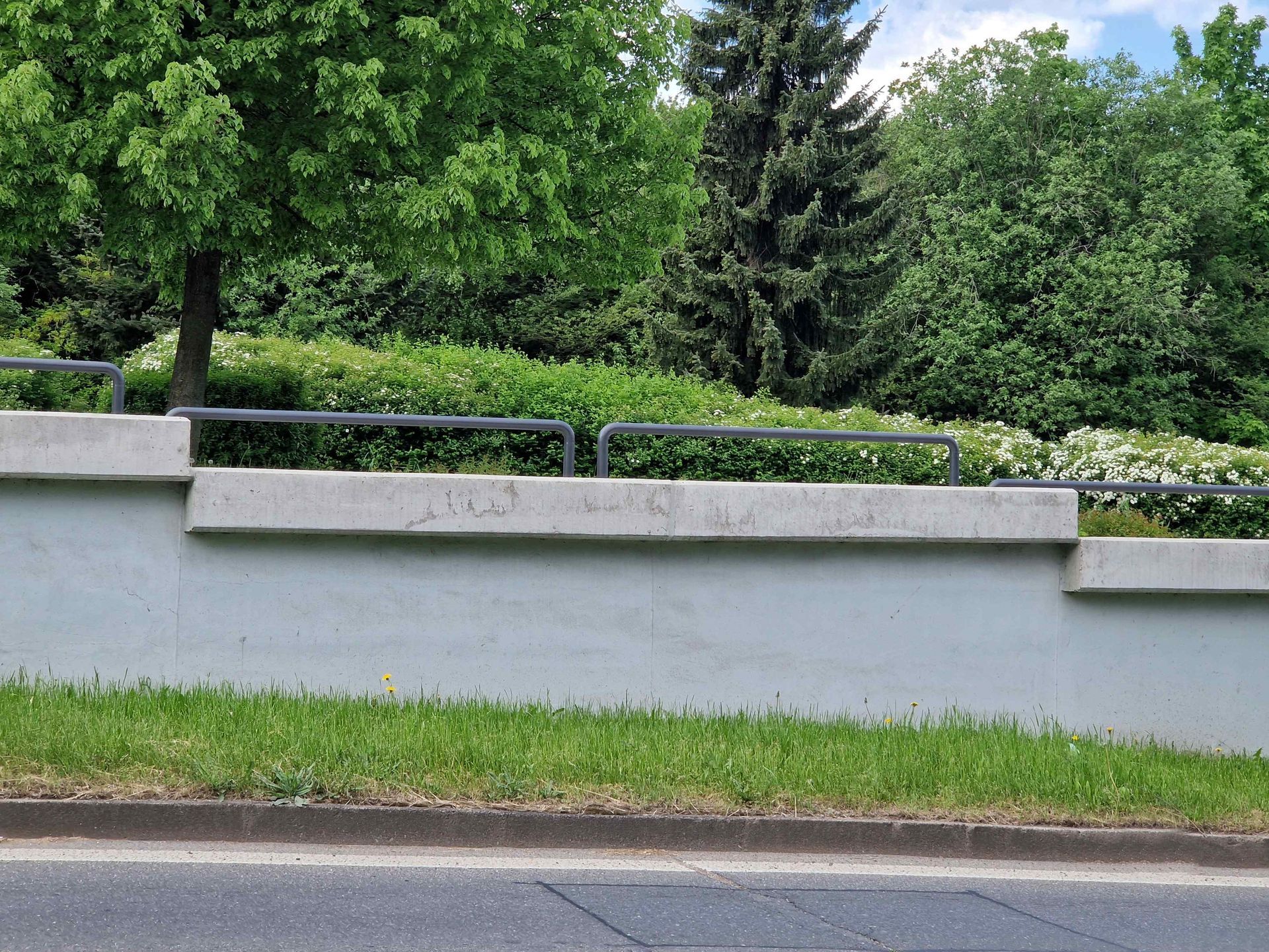A gray concrete retaining wall with a metal railing, bordered by green grass and lush trees in the background.