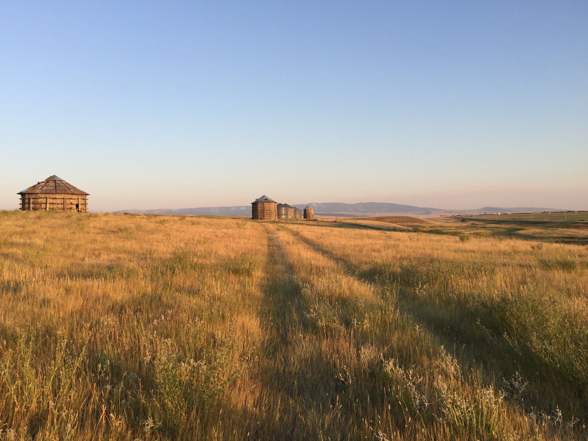 Moore Montana Wheat Harvest