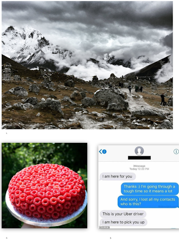 Yaks, Nepal Mountains, Raspberry Cake and Uber Texts