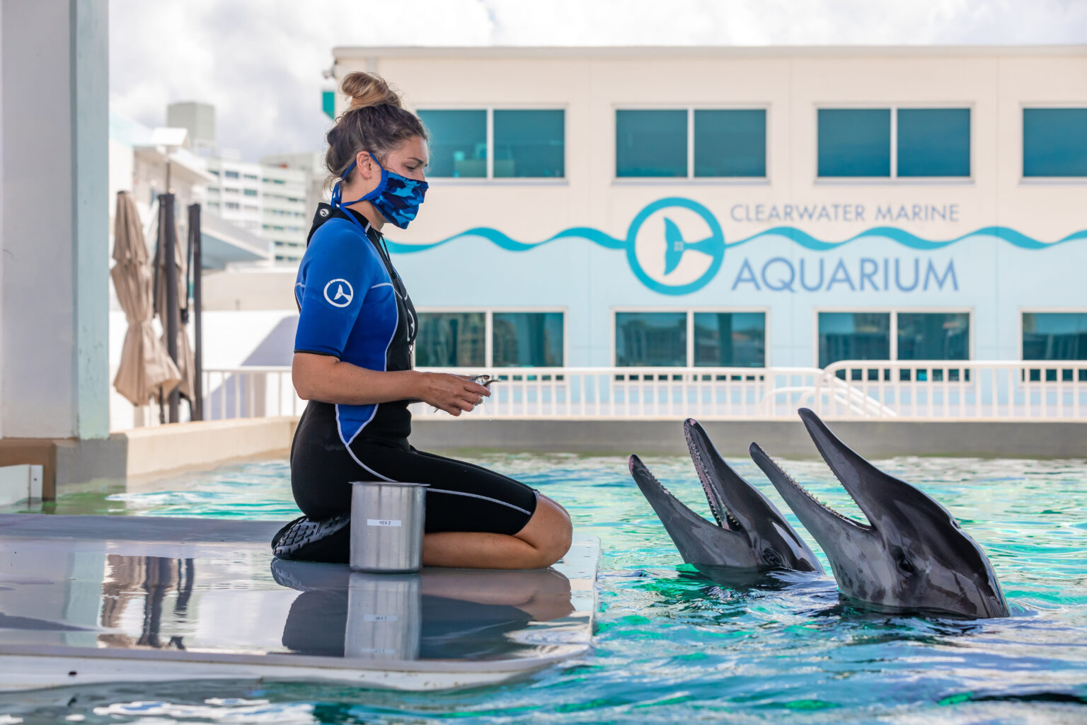 A woman wearing a mask is kneeling in front of three dolphins in an aquarium.