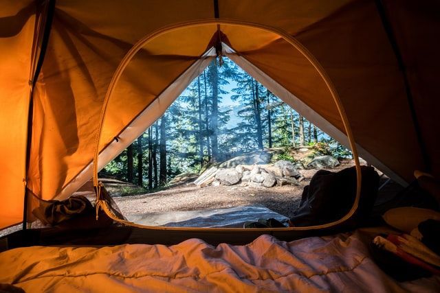 The inside of a tent with a view of a forest.