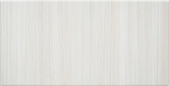 Modern Style Option With Arctic Finish